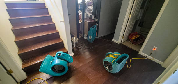 Best Ceiling water damage repair  in Lewisburg, OH