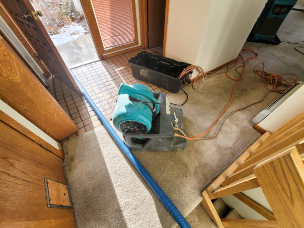 Best Water damage restoration near me  in Lewisburg, OH