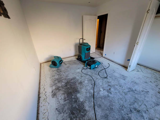 Best 24-hour water damage restoration  in Lewisburg, OH