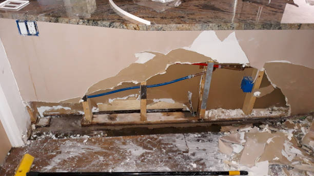 Best Professional water damage repair  in Lewisburg, OH